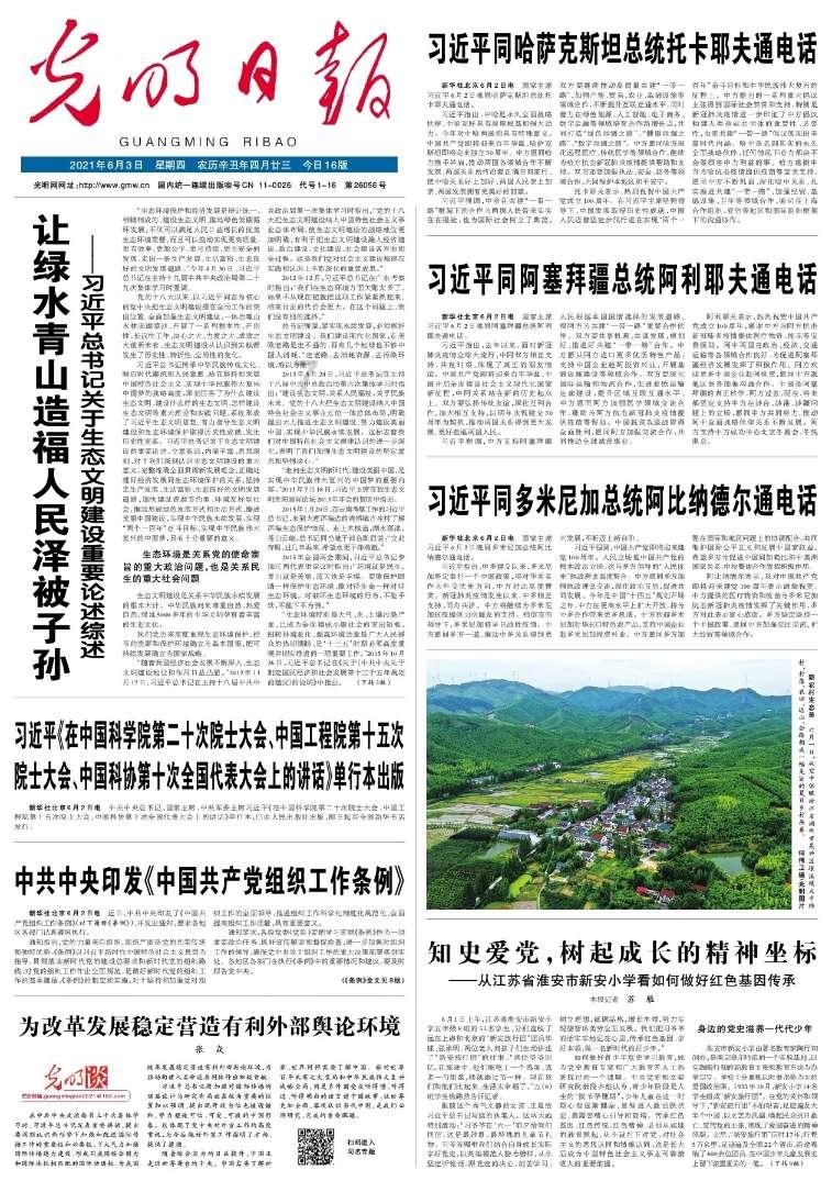 红树林逃生